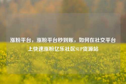 涨粉平台，涨粉平台秒到账，如何在社交平台上快速涨粉亿乐社区SUP货源站  第1张